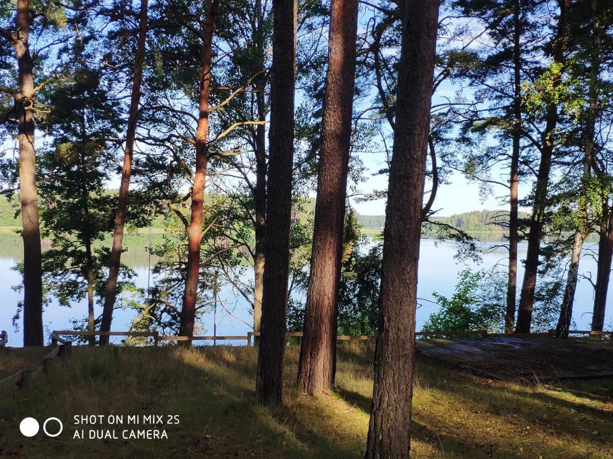 Sloneczny Domek Borsk Nr 2 I 15 - Nad Samym Jeziorem W Pierwszej Linii Экстерьер фото